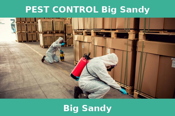 PEST CONTROL Big Sandy